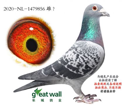 8.�����һ��2��ȫ�ֵ�.1479856