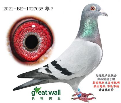 9.����35��.1027035