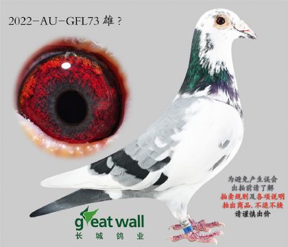 10.������½�Ѫ���.73