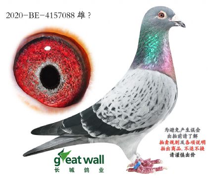 11.��ʱ��911ȫ��.4157088