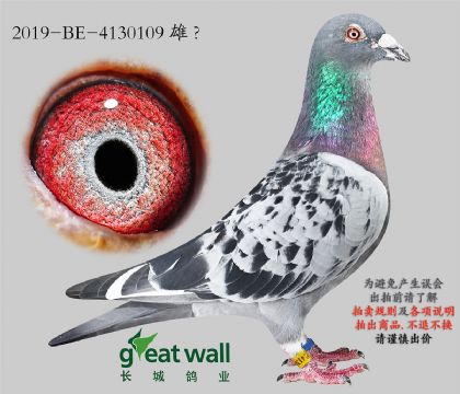 12.��ѻ��ض�ֱ��.4130109