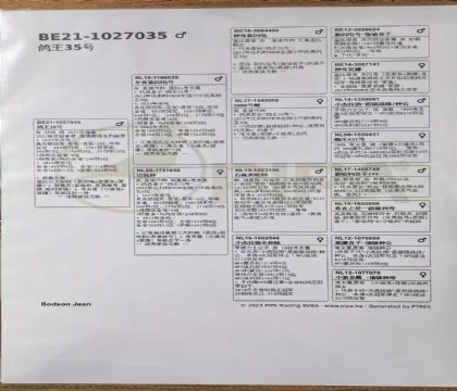 9.����35��.1027035x1