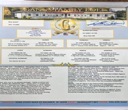 10.������½�Ѫ���x1.73