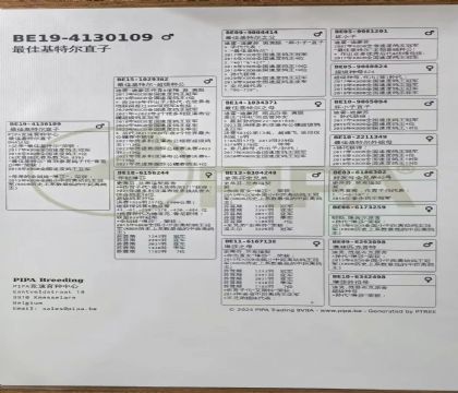 12.��ѻ��ض�ֱ��.4130109x1