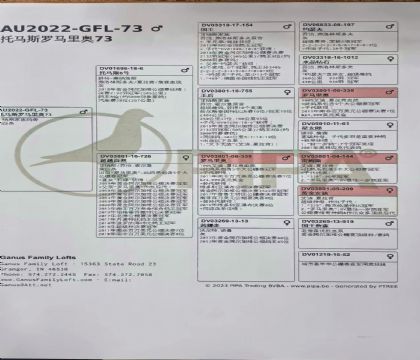 10.������½�Ѫ���x2.73