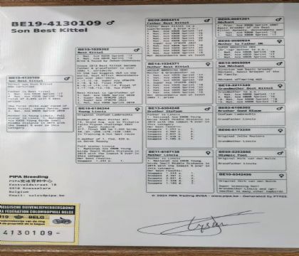 12.��ѻ��ض�ֱ��.4130109x2