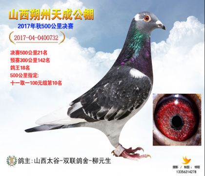 ���ֿ�˹����18��732��