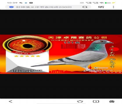 �������151��