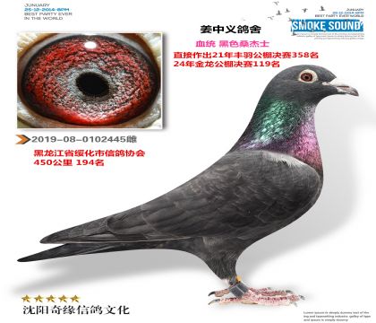 ��ɫ���棨ԭ��Դƣ��ƽ���ĸ