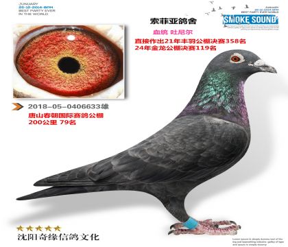 ��ɫ���棨��һ���ۣ�