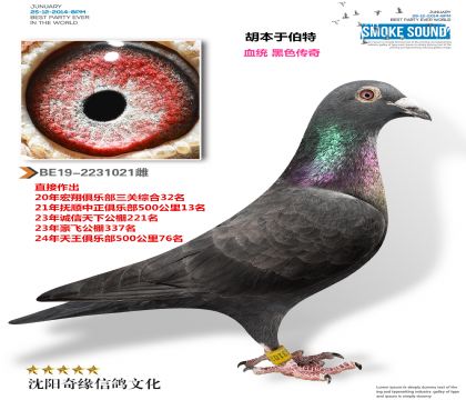 ����ʱ�����ڲ��أ��ƽ���Դƣ�