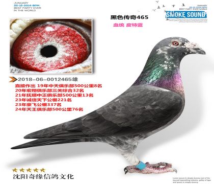 ����Ƥ�������ƽ�����۸룩