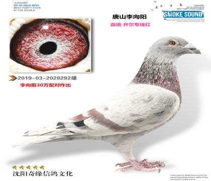 ��ɽ����������ɫ����ר�ߣ�