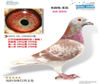 ���׵������׶��˼��壩