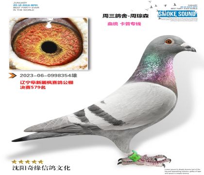 ����ר�߻Ƹܣ�����ۺϹھ�������