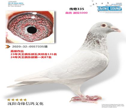 ����5000����㣨�����ָ룩