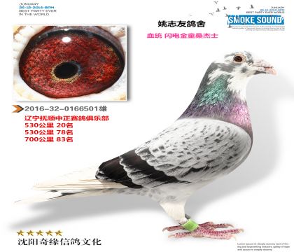 �����ͯ���ೡ�񽱸룩