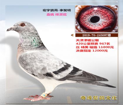 ���黨�����򸣹��