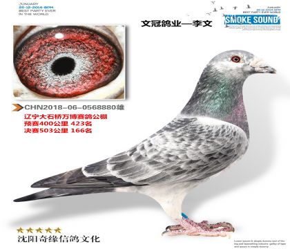 �Ĺڸ�ҵ�������򲩹������166����