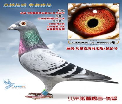 �����ھ�:�������Թ���44-49��