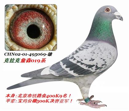 845ƽ��ֱ�ӣ���·���400K9����