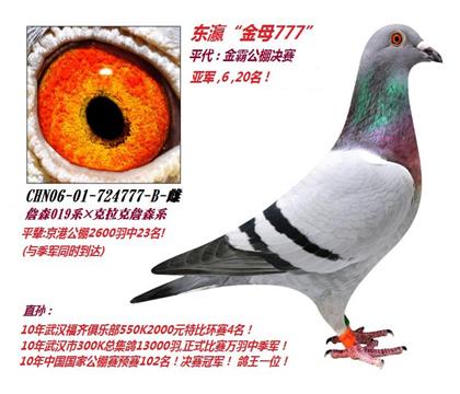 ������ղɭ845ֱŮ����ĸ777�š�