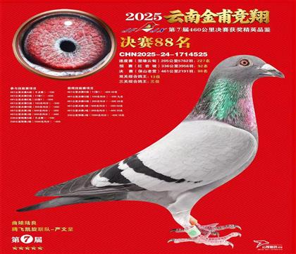 ��Ʒ������ղɭ845��ֱϵ