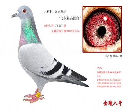 1������ʱ ��˼���ڡ���ū��Ʒ��Ѫ��