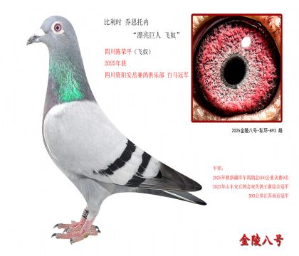 5������ʱ ��˼���ڡ�Ư������ ��ū