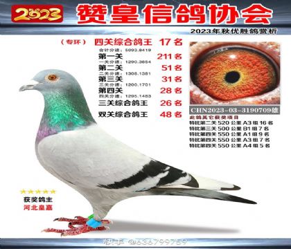 �ӱ�ʯ��ׯ�޻ʸ���رȻ��Ĺظ���48��   ��	