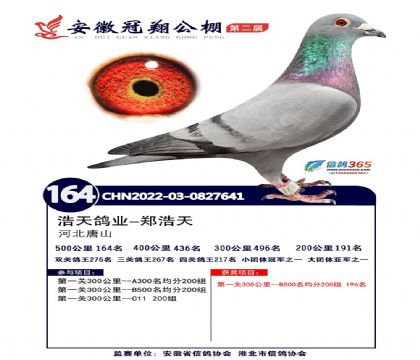 ���չ������빫��506�������164��   ��	