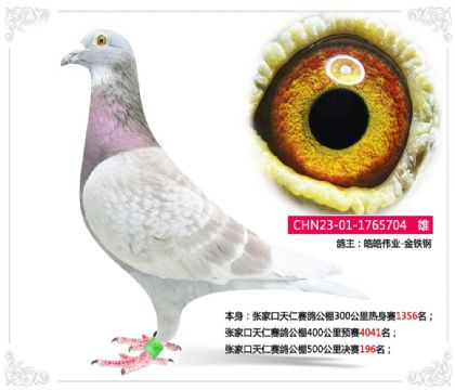 �żҿ��������빫��500�������196��   ��	