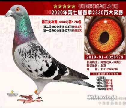 ��ɽ�����������빫�����500�������177��   ��