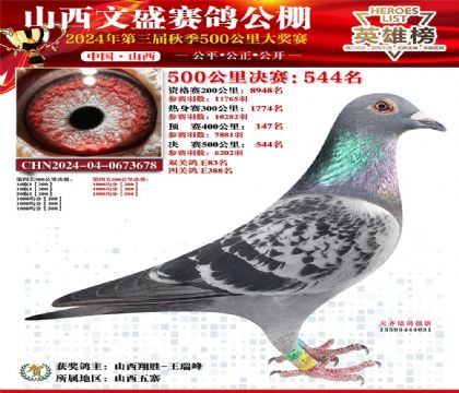 ɽ����ʢ���빫��˫�ظ���83��  ��	