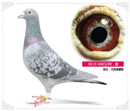 ��������˹	289   ��	