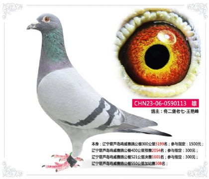 ������«���������빫��550�����վ��308��   ��