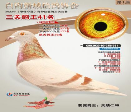 �ӱ������׹��³��Ÿ�Э�����ظ���41��   ��	