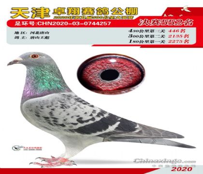 ���׿�����빫��530�������552��   ��