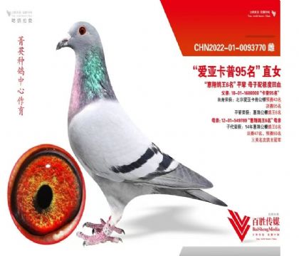 ��ʤ��ý-��� ---��ʤ��ý˽���ָ�770   ��