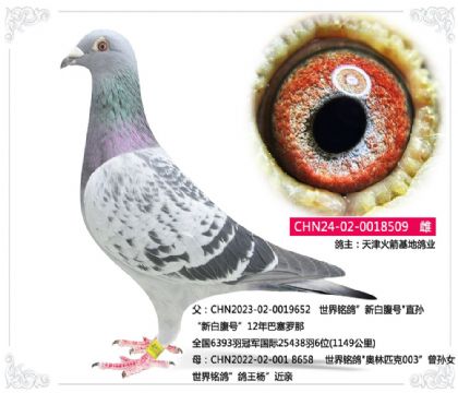 ��������ظ�ҵ---������509   ��	