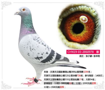 ��������������빫��550�����վ��27��  ��