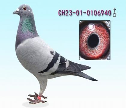 �������ǿ���---�ƽ��940   ��	