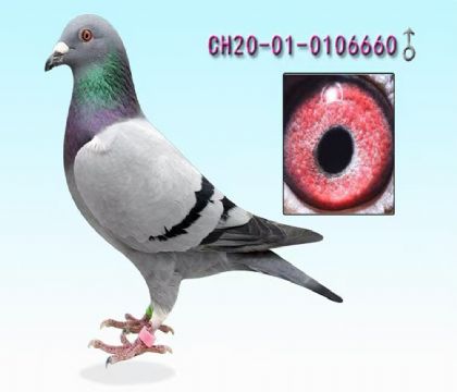 �������ǿ���---����660   ��	