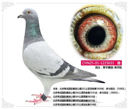 �������ɹ������빫��535�����վ��308��   ��