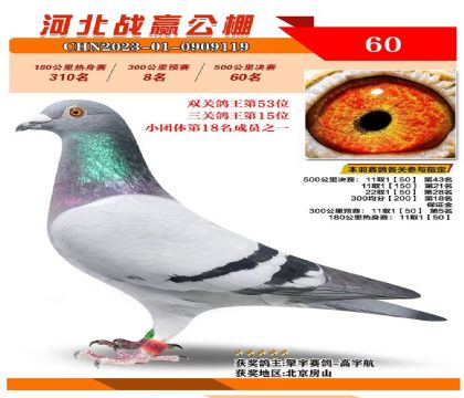 �ӱ�սӮ���빫�����ظ���15��   ��	