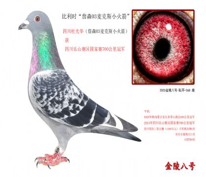 7������ʱ��ղɭ03���˹С�����