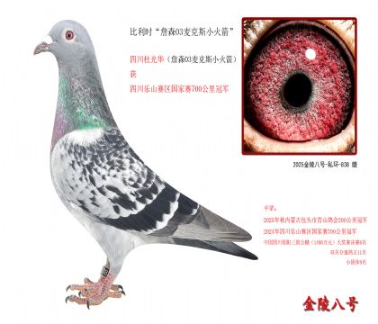 8������ʱ��ղɭ03���˹С�����