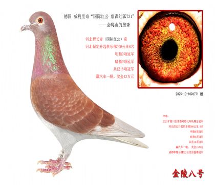 10���¹� �������桰���ʺ칫 ղɭ���731��