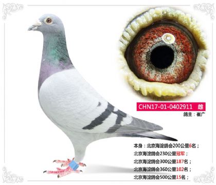 �����������Ÿ�Э��230����ھ�  ��	