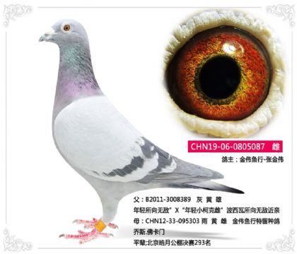 ��ΰ����-�Ž�ΰ---������087   ��	